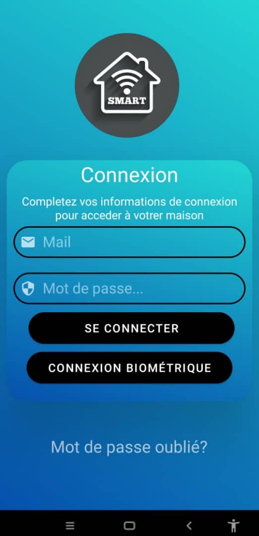 NeuroDomus - Miniature 2